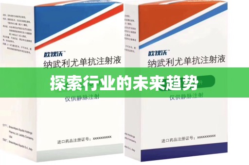 南宁探索行业的未来趋势