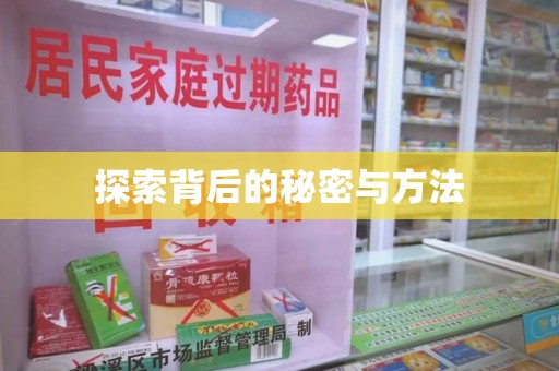 南宁探索背后的秘密与方法