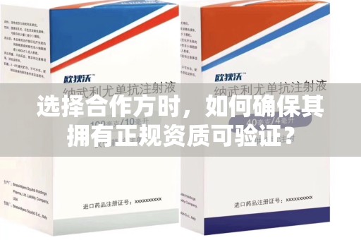 南宁选择合作方时，如何确保其拥有正规资质可验证？