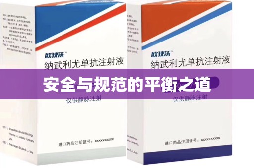 南宁安全与规范的平衡之道